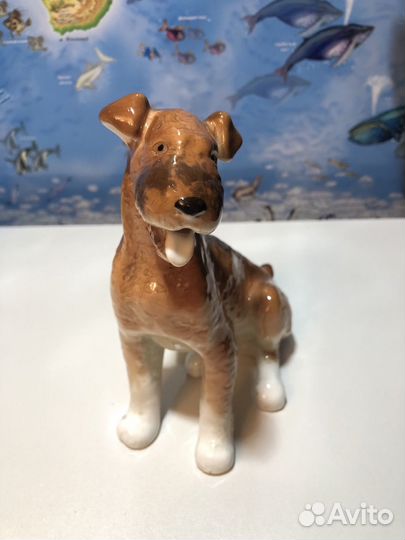 Фарфоровая cтатуэтка Эрдельтерьер СССР 1964 год