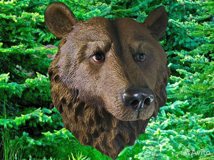 Голова Медведя