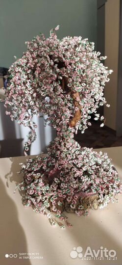 Хендмейд. Дерево жизни Эйва, денежное дерево