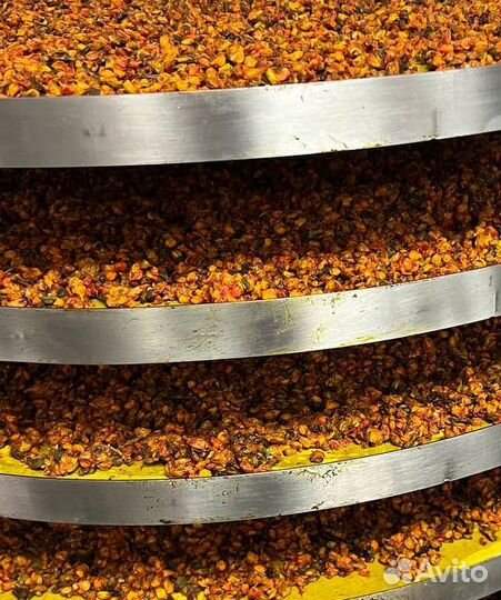 Сублимация пищевых продуктов