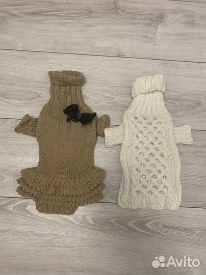 Одежда для кошек