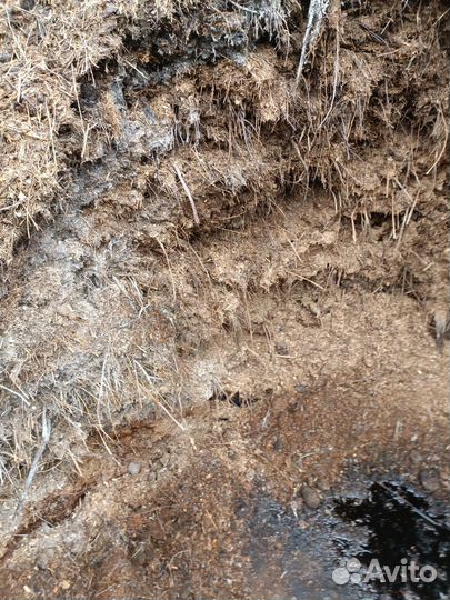 Конский навоз для теплых грядок