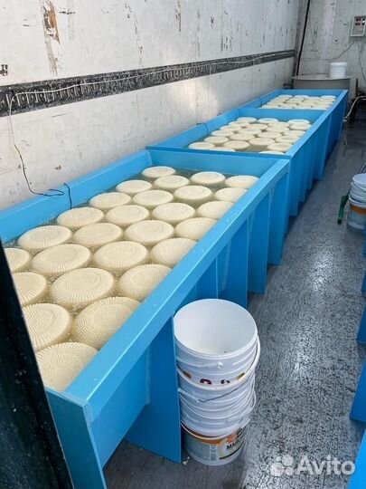 Ванны для сыра