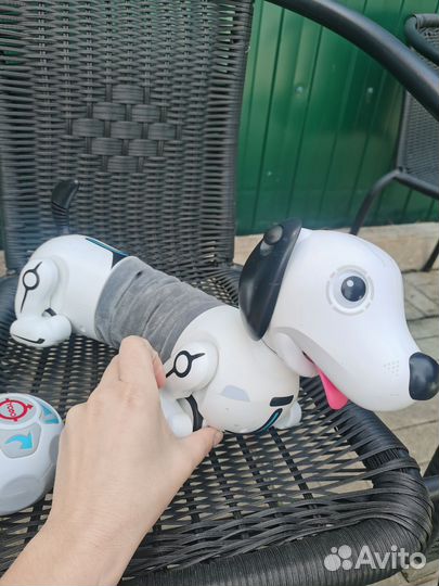 Игрушка робот собака такса