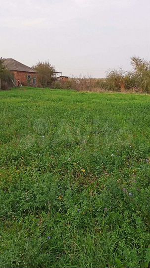 Участок 24 сот. (ИЖС)