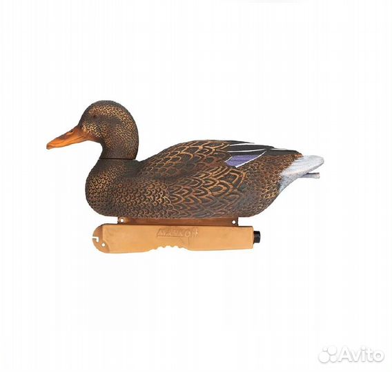 Чучело Кряква утка 