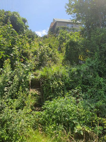 Участок 4,8 сот. (СНТ, ДНП)