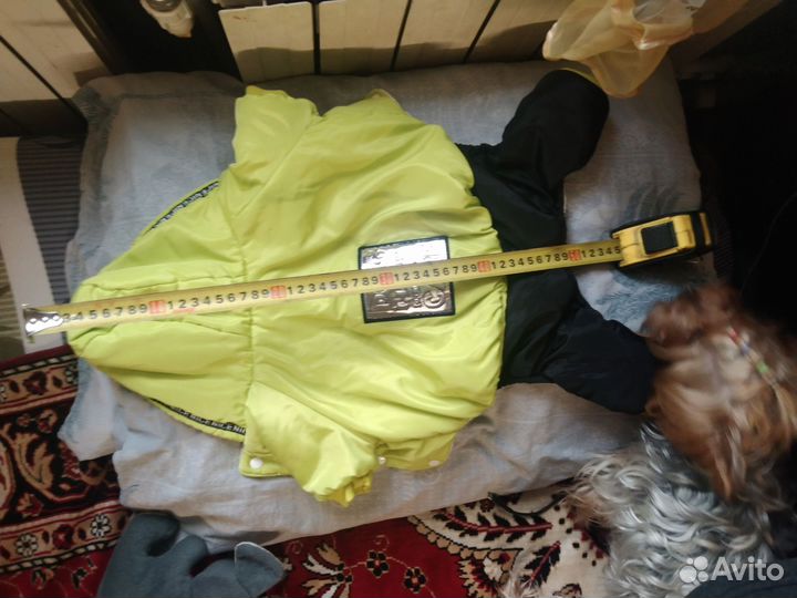 Одежда для маленьких собак