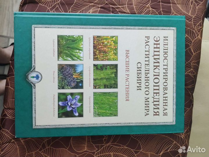 Энциклопедия растительного мира сибири