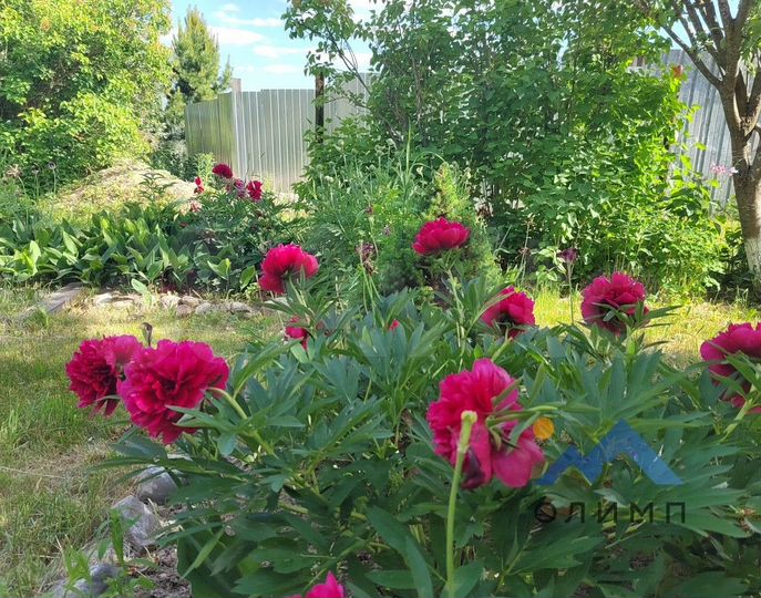 Дом 64 м² на участке 26 сот.