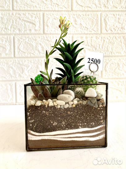 Флорариум в форме куб
