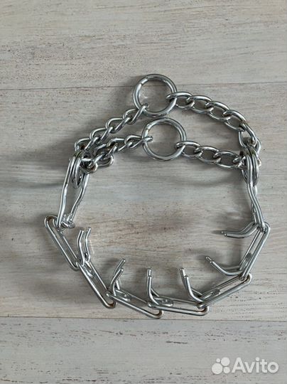 Строгий ошейник для собак