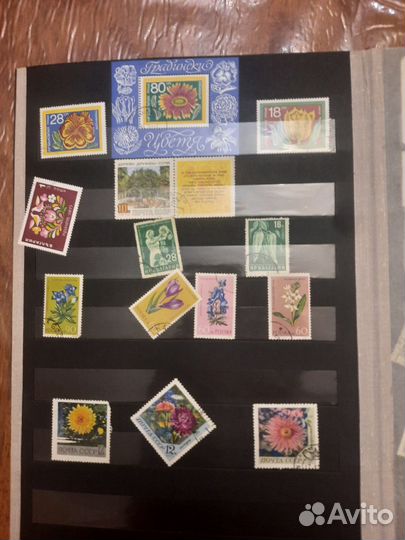 Альбом с марками