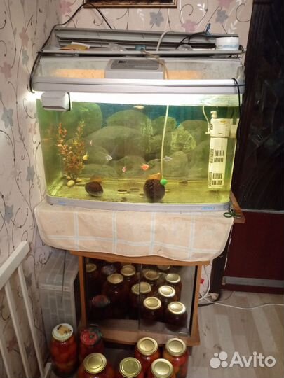 Аквариум