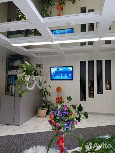 Стрижки мужские, женские, укладки, завивки