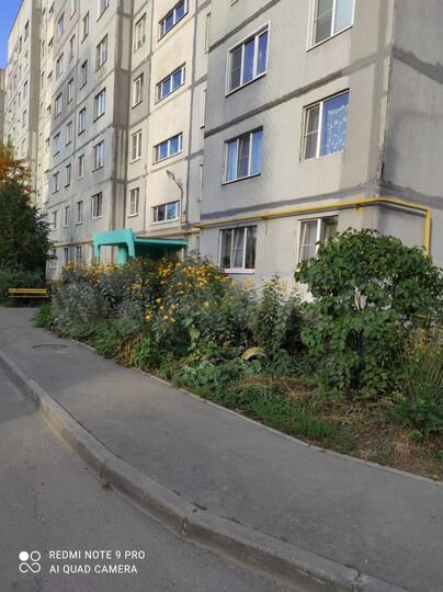 2-к. квартира, 53,5 м², 8/9 эт.