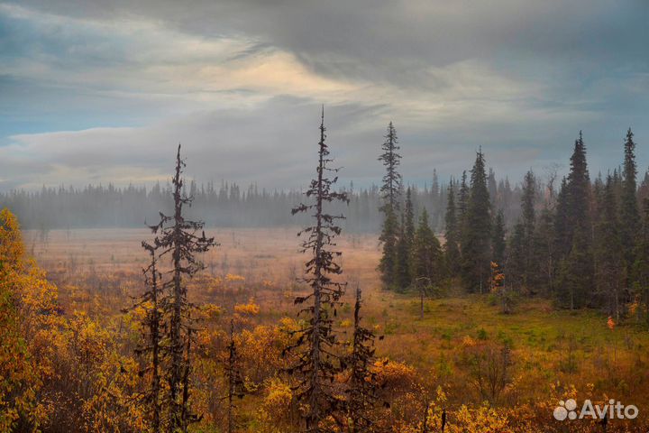 К водопаду Большой Янискенгас, однодневный тур