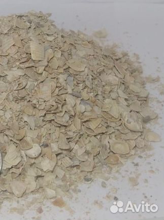 Ракушка кормовая