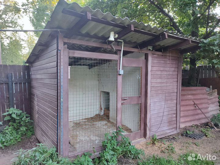 Клетка вольер для большой собаки бу