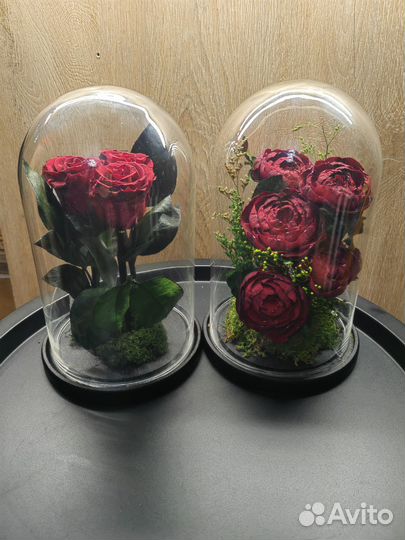 Роза, пионы в колбе, флорариум, ночник, нн2, от