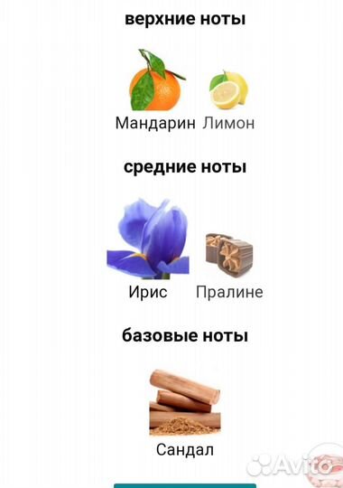 Парфюм Emilio Pucci