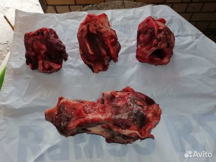 Мясо для собак (субпродукты)