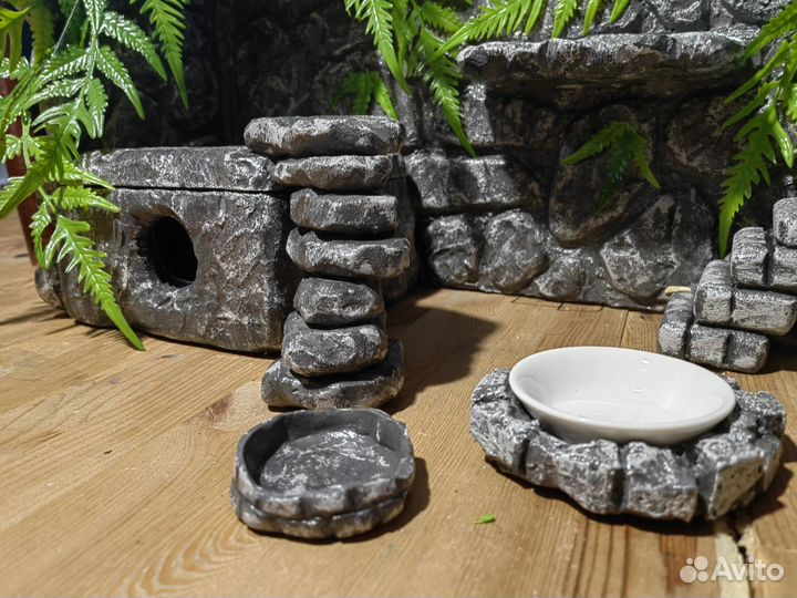 Фон в террариум / паучатник