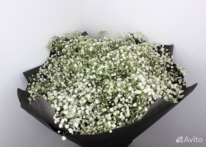 Гипсофила. Букет цветов