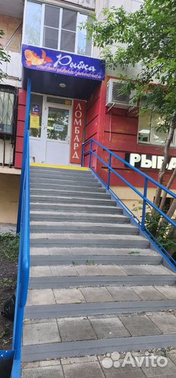 Рыбный магазин окупаемость 1 год