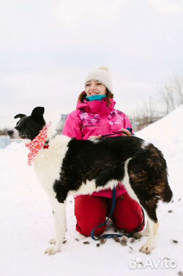 Старость в одиночестве в приюте