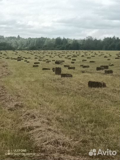 Сено солома в тюках