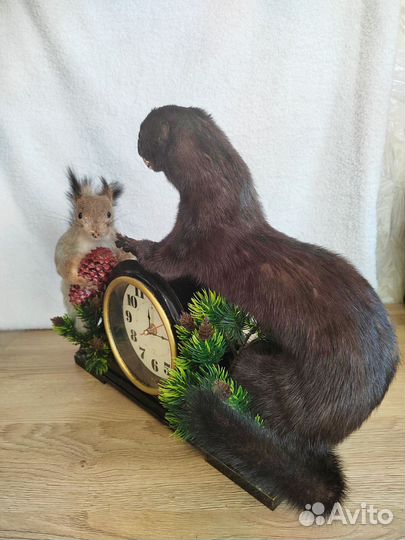 Чучело белки норки на часах