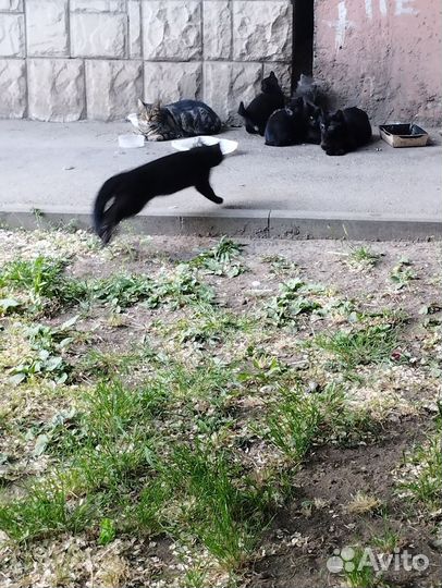 Шок