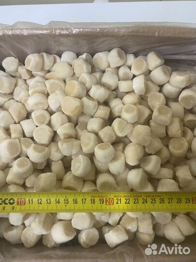 Гребешок филе