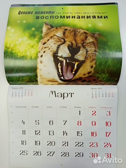 Календарь настенный 2024