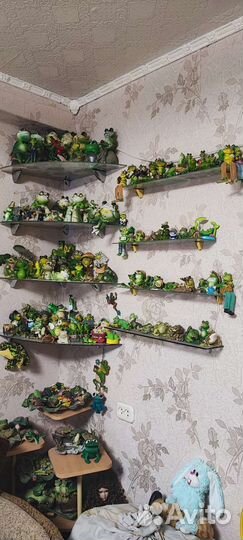 Коллекция лягушек из разных стран