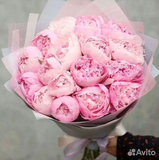 Пионы Букеты Цветы Доставка