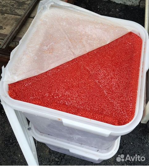 Икра красная оптом