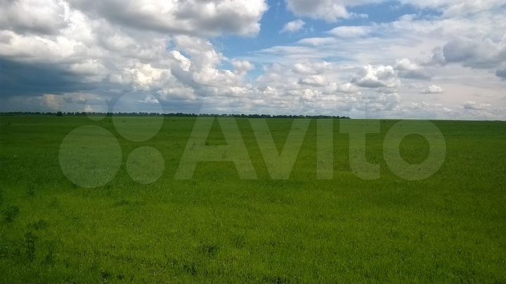 Участок 6 га (СНТ, ДНП)