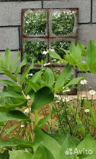 Зеркало дизайнерское