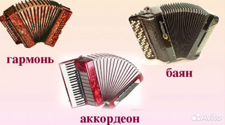 Ремонт баянов гармоней и аккордеонов