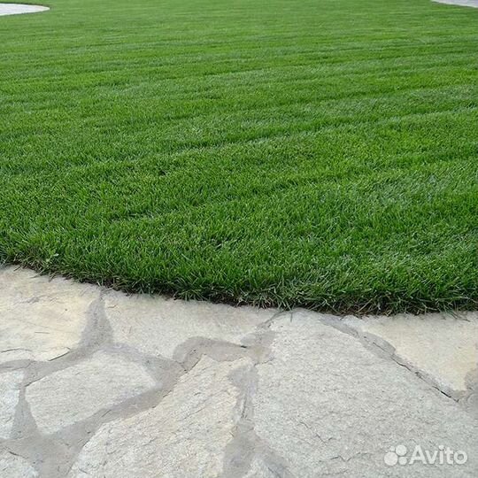 Рулонный газон под ключ и обслуживание