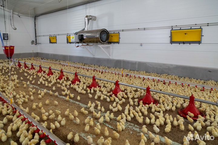 Разнорабочий на птицефабрику вахта Нижний новгород