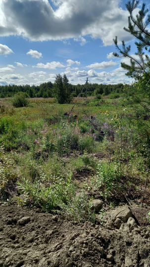 Участок 8 га (СНТ, ДНП)