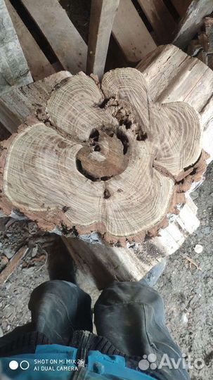 Спилы и слэбы для творчества и декора