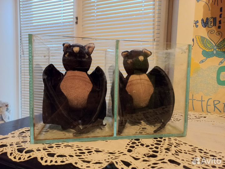 Аквариум отсадник с перегородкой 5л