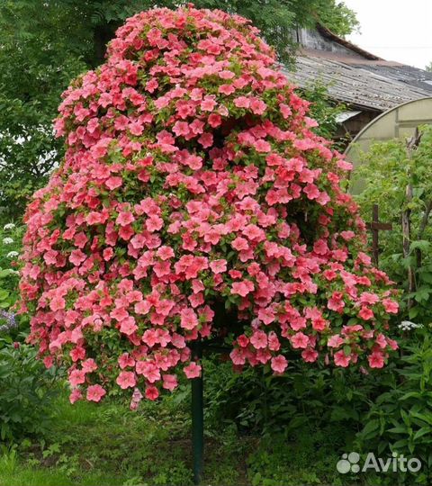 Цветочное дерево, металлоконструкция