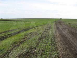 Участок 77,6 сот. (ИЖС)