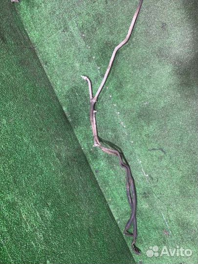 Трубка охлаждения АКПП Bmw 3-Series E36 M43