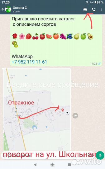 Роза Восточный Экспресс чайногибридная